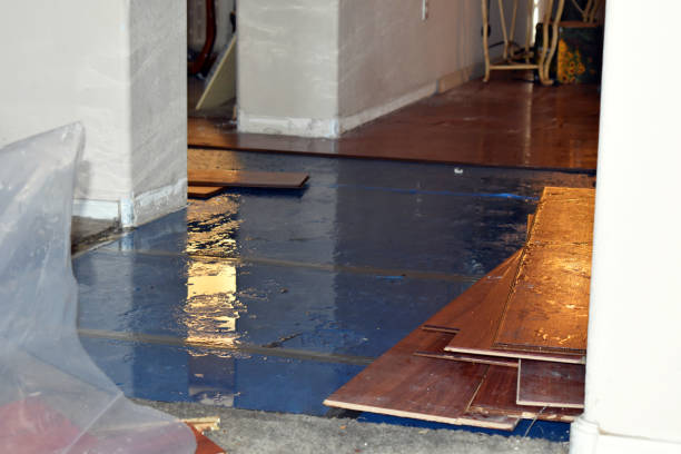 Professional Sewage Cleanup technician working in Temple, TX